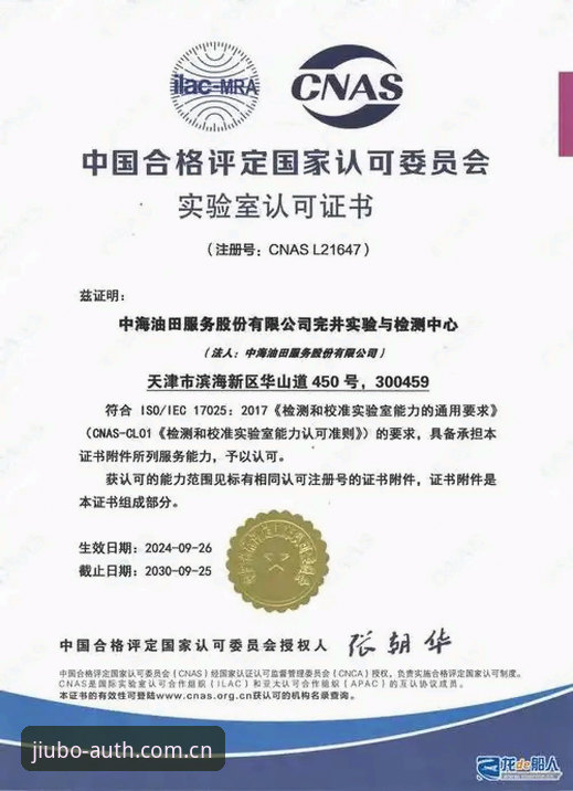 九博国际官网 vs 普通平台：为什么权威认证才是你该选择的关键？